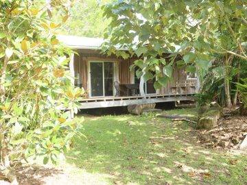 Rainforest cabin all with their own private outlook