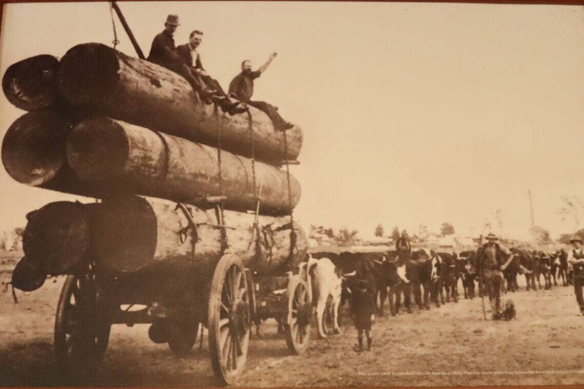 Local Historic Logging in the area