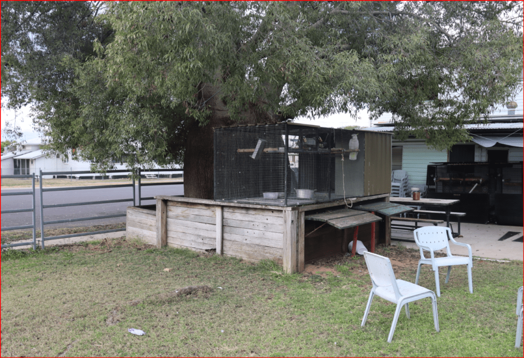 great beer garden to relax and play and some native birds for company 